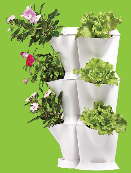 Aanvrager Verhoog jezelf Wrok Minigarden BG – Vertical Gardens and Plant Growing Systems